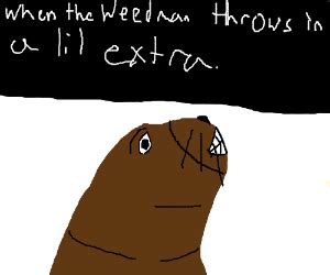 Sea lion meme - Drawception