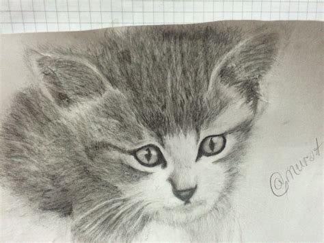 Realistic Kitten Drawing at GetDrawings | Free download