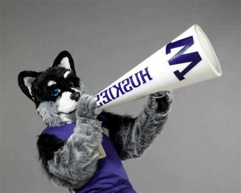 Husky Game Tickets | PETSIDI