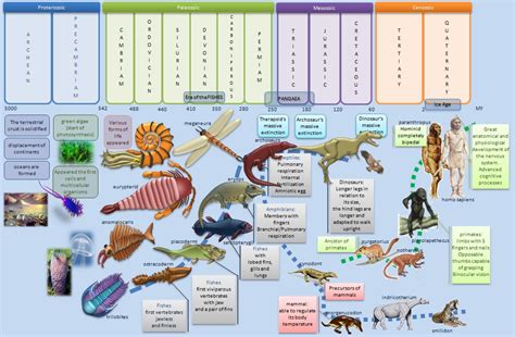 Educative diagrams