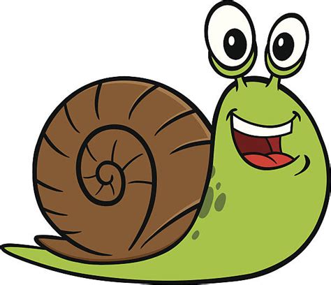 Snail Face Illustrations, Royalty-Free Vector Graphics & Clip Art - iStock