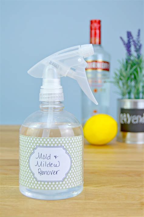 Homemade Mold and Mildew Remover Recipe - Mom 4 Real