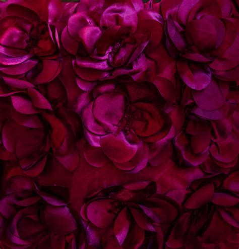 Roses Fabric Background Free Stock Photo - Public Domain Pictures