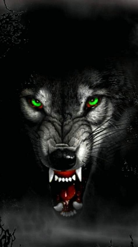 Angry Wolf Wallpapers For Android - Wolf-wallpapers.pro