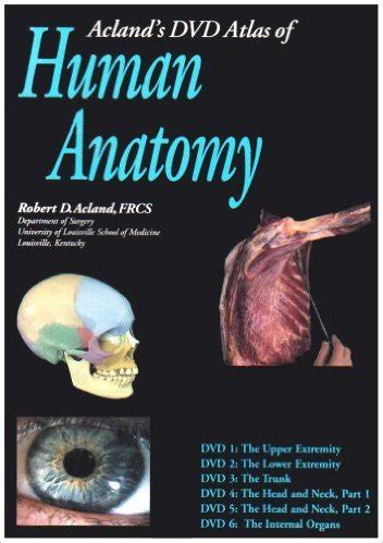 Acland's DVD Atlas of Human Anatomy, Set of Six DVDs: The Upper Extremity, the Lower Extremity ...