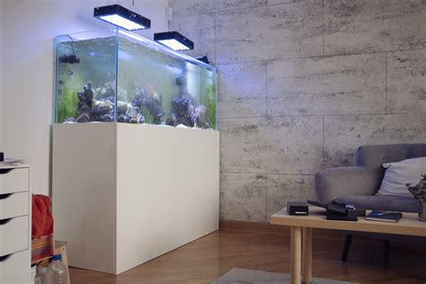 Aquarium Heater Placement