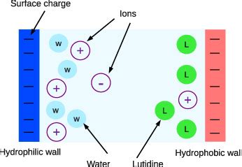 Hydrophilic and Hydrophobic Substances - Biochemistry