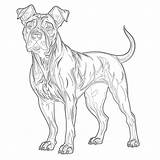 Dog Coloring Pages Realistic  Coloring Pages Mimi Panda sketch template