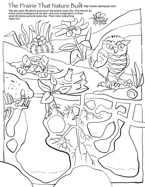 Prairie Dawn Coloring Pages Coloring Pages