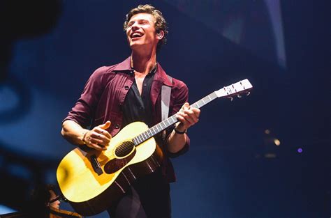 Shawn Mendes Gives Earth-Shaking Performance at Los Angeles Concert ...