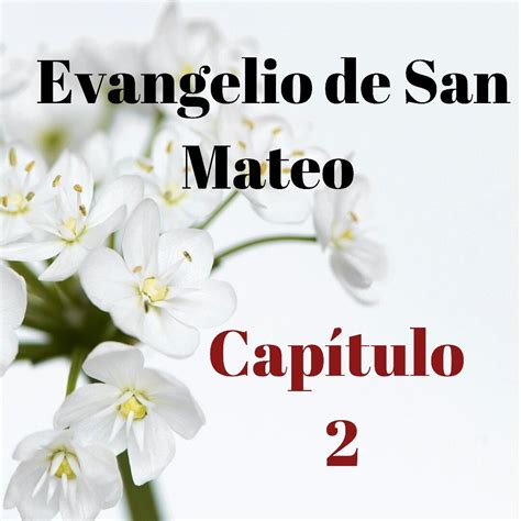 Evangelio San Mateo Capítulo 2 | Evangelio, Evangelio san mateo, Santos