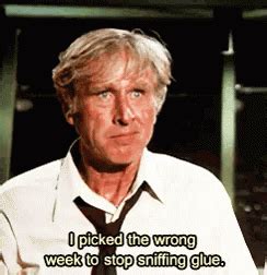 Airplane Lloyd Bridges GIF - Airplane LloydBridges SteveMcCroskey ...