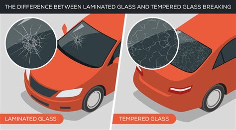 The Different Types of Windscreens | The Windscreen Company