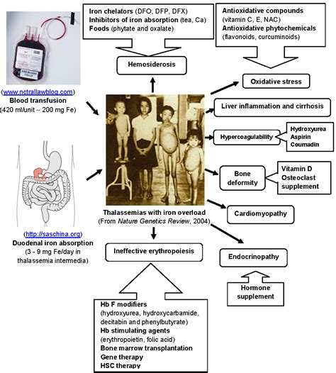 Factor Receptor: Beta Thalassemia Treatment