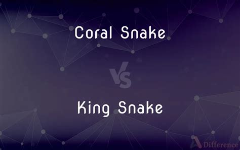 Coral Snake vs. King Snake — What’s the Difference?