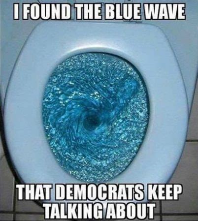 2018_05 27 Blue wave toilet meme