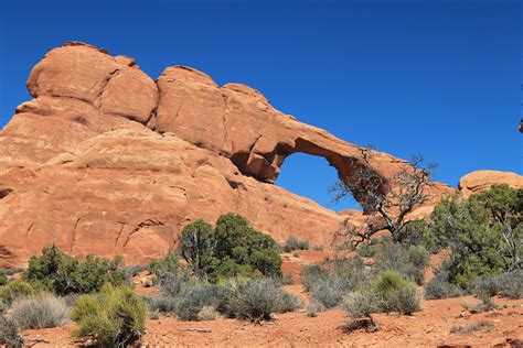 Horseshoe Bend Photo · Free Stock Photo