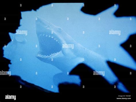 GREAT WHITE SHARK, JAWS, 1975 Stock Photo - Alamy