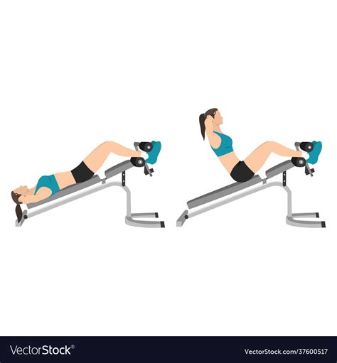 Woman doing decline bench sit ups crunches Vector Image