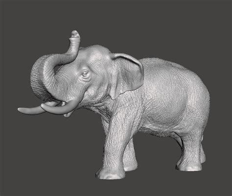 Elephant 3D Model - TurboSquid 1391949