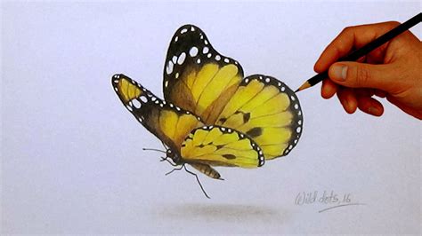 Drawing A Butterfly | Simple And Easy Steps | | Butterfly drawing, Butterfly painting, Drawings