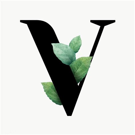 Download premium png of Botanical capital letter V transparent png by ...