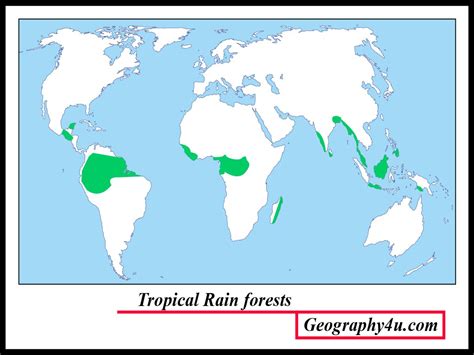 Tropical Rainforest Location Latitude