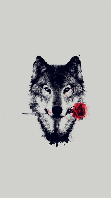 Geometric Animal Wolf Wallpapers - Top Free Geometric Animal Wolf Backgrounds - WallpaperAccess