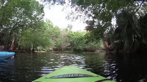 Kayaking - Riverbend Park /Loxahatchee River Jupiter FL April 30, 2017 - YouTube