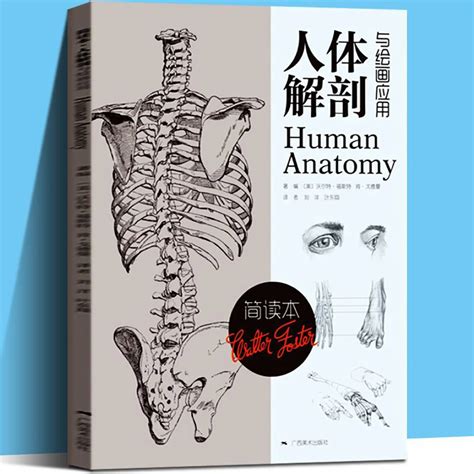 Human Anatomy and Drawing Applications (Short Reading Book) Sketching ...