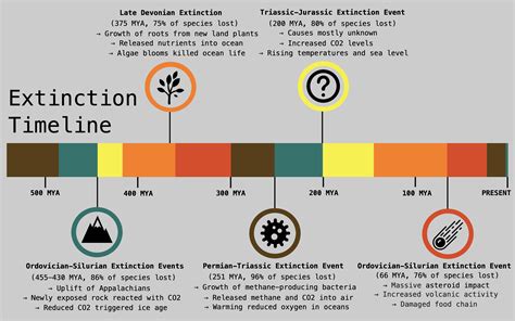 Timeline of All Five Major Extinctions : r/Infographics