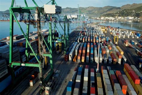 Lyttelton Port Company achieves record container volumes amid higher profits - Container News