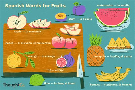 Dates Fruit In Spanish - MeaningKosh