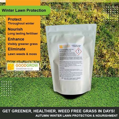 Can you plant grass seed in winter?