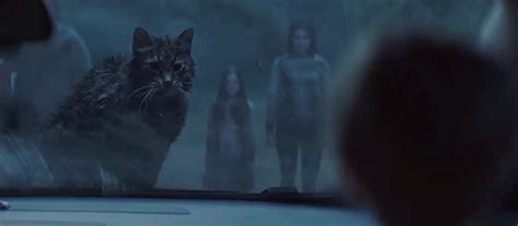 Pet Sematary (2019) - Cinema Cats