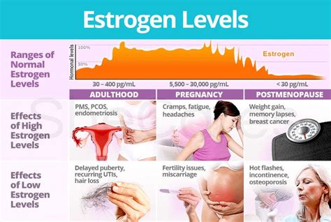 low estrogen - Google Search | Low estrogen, Oestrogen, Low estrogen symptoms