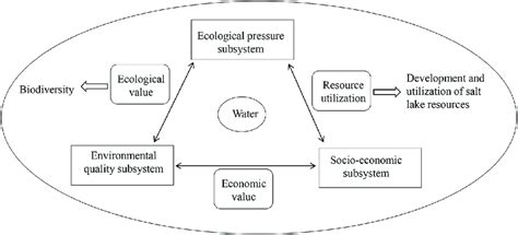 The water ecosystem comprising three subsystems in the study area.... | Download Scientific Diagram