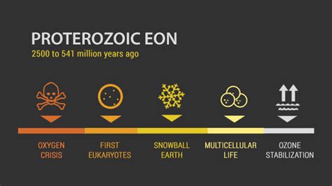 PROTEROZOIC EON: From Eukaryotes to Multicellular Organisms - Earth How