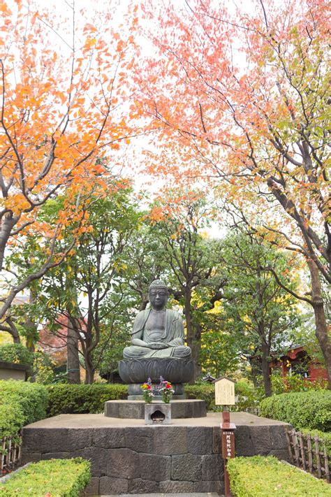 Premium Photo | Buddha in the park