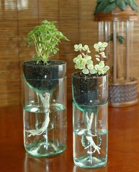 Hydroponics, grow plants in water | Pyssel vinflaskor, Glasflaska, Hantverksidéer