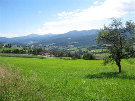 Travel Trip Journey : Bavarian Forest National Park Germany