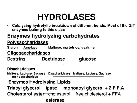 PPT - ENZYMES PowerPoint Presentation, free download - ID:458881