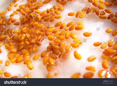 Watercress - Seeds Stock Photo 252679 : Shutterstock