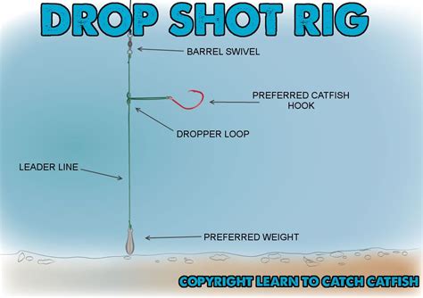 Drop shot rig | Catfish rigs, Fishing tips, Catfish fishing