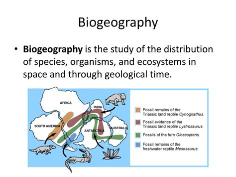 PPT - Unit 3: Evolution PowerPoint Presentation, free download - ID:1957836