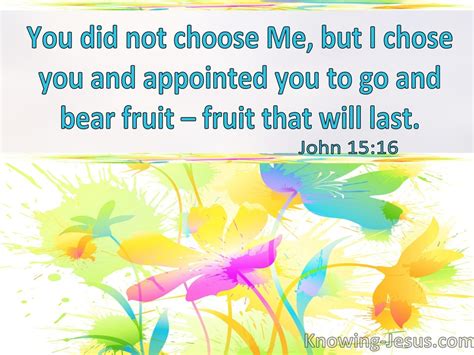 John 15:16 You Did Not Choose Me But I Chose You (windows)06:22