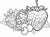 Berries Coloring Pages To Print  Free Printable sketch template