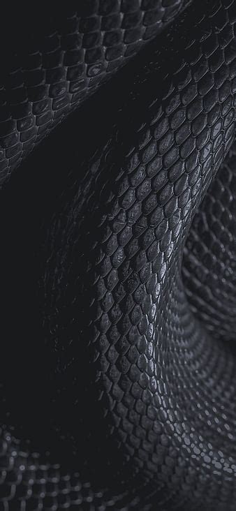 Update more than 83 black snake skin wallpaper best - in.cdgdbentre