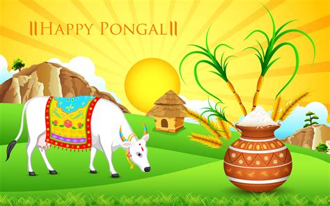 The complete guide to Pongal celebrations in Tamil Nadu