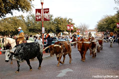 10 Fun Things to Do at the Fort Worth Stockyards ~ Fort Worth, TX